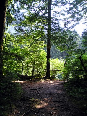 The hiking trail near Widgeon Creek