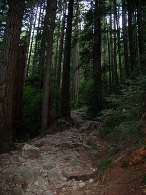 The rocky trail to Lynn Peak in North Vancouver