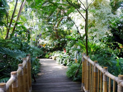 Starting on the path inside the Conservatory