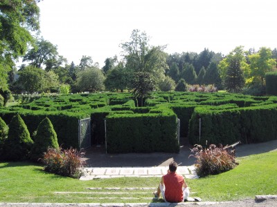 Maze at VanDusen Botanical Garden