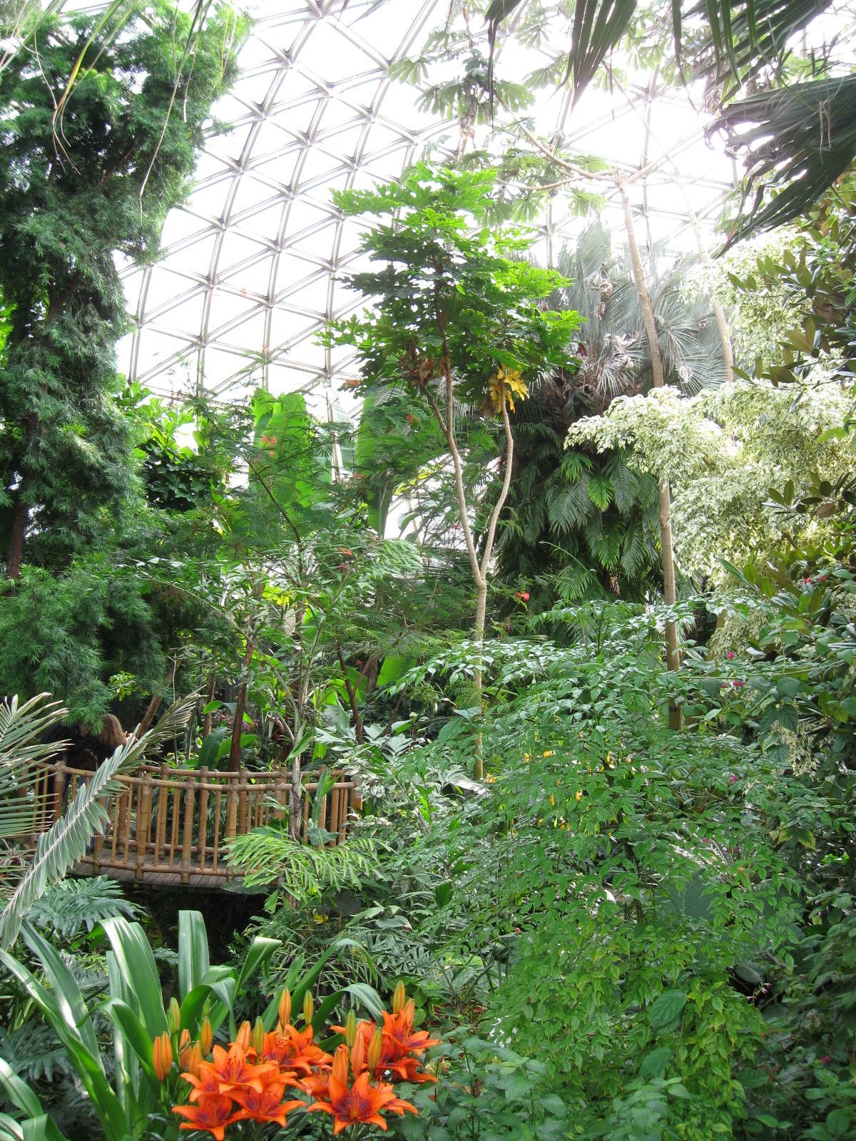 bloedel-conservatory-interior | Inside Vancouver Blog