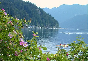 Deep Cove, B.C. Kayak centre also offers rentals for experienced  day kayakers.  Photo by J. Chong