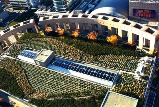 VPL rooftop now. Photo credit: Greenroofs.com 