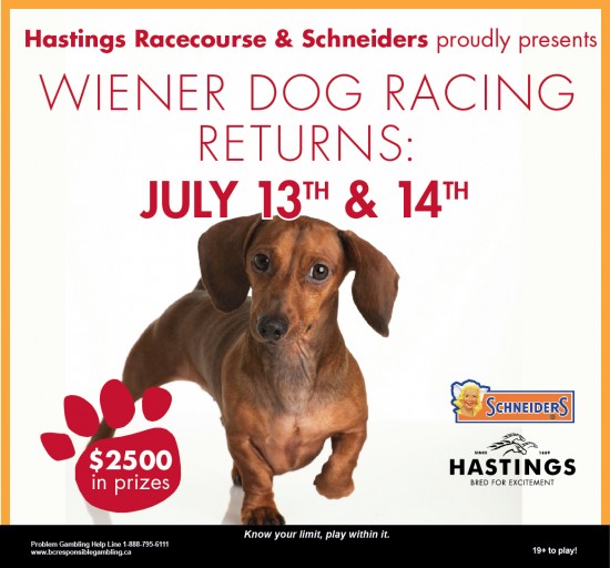 Wiener Dog Racing Vancouver
