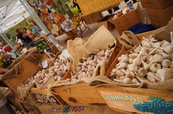 The Sharing Farm's Garlic Festival