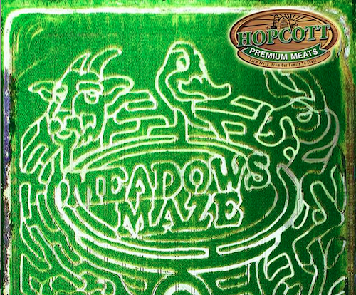 Just a part of the Meadows Maze. See the rest on Facebook