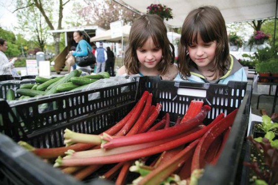 Burnaby Farmers Market | Things To Do In Vancouver This Weekend