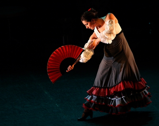 Vancouver International Flamenco Festival | Things To Do In Vancouver This Weekend
