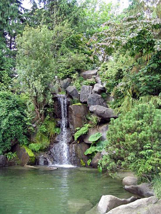 Waterfall in Charleson Park. Photo Credit: Vancouver Park Board