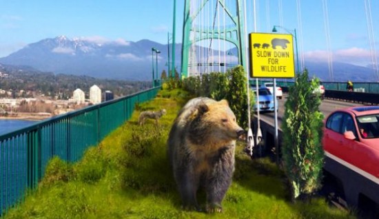 MOV - Rewilding Vancouver | Things To Do In Vancouver This Weekend
