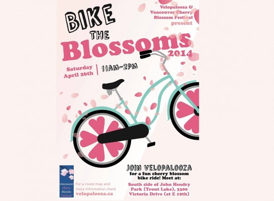 Vancouver Cherry Blossom Festival and Velopalooza - Bike The Blossoms | Things To Do In Vancouver This Weekend