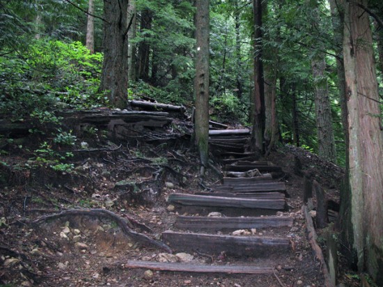 Grouse Grind | Things To Do In Vancouver This Weekend