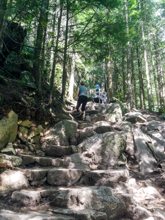 The initial part of the trail follows the same route as the popular hike up The Chief.  Terrain is steep - Expect a good workout. 