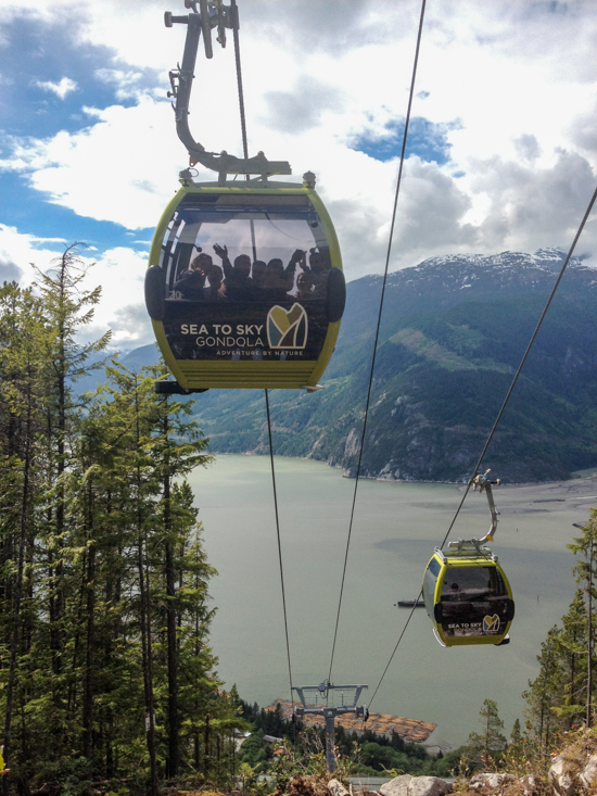 The Sea to Summit trail passes directly below the gondola at one point.  