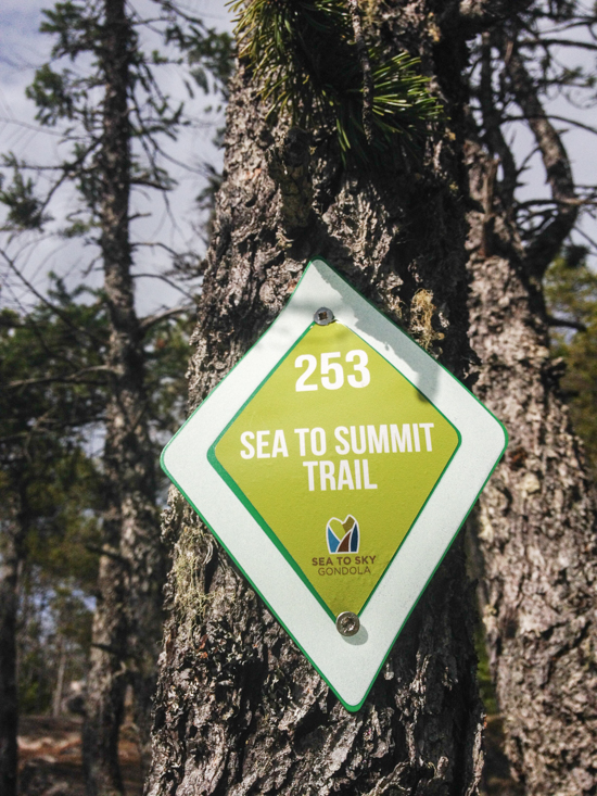 The Sea to Summit Trail is 6 kilometres one-way and takes 3-4 hours.  Elevation gain is 916 metres.