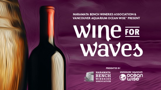 Vancouver Aquarium - Wine For Waves | Things To Do In Vancouver This Weekend