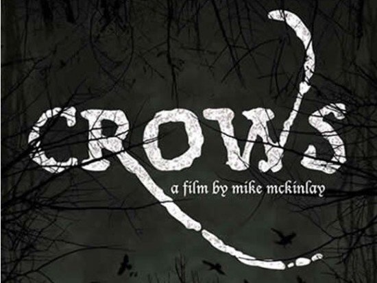 Vancouver Bird Week - Crow Night Film Screening & Talk | Things To Do In Vancouver This Weekend