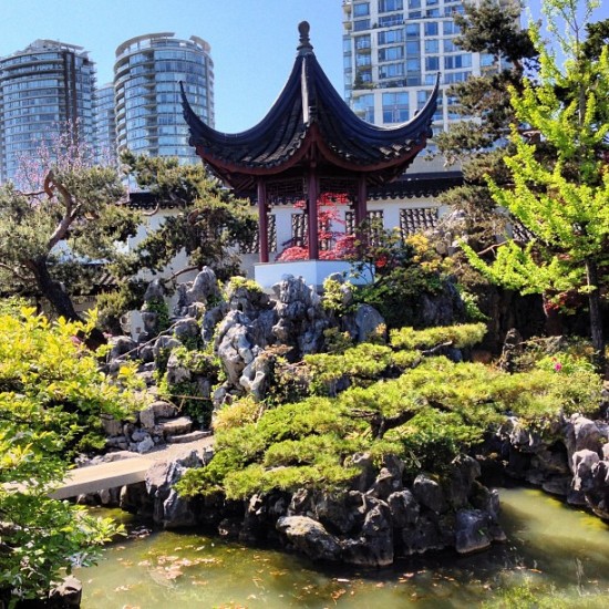 Dr Sun Yat-Sen Classical Chinese Garden | Things To Do In Vancouver This Weekend