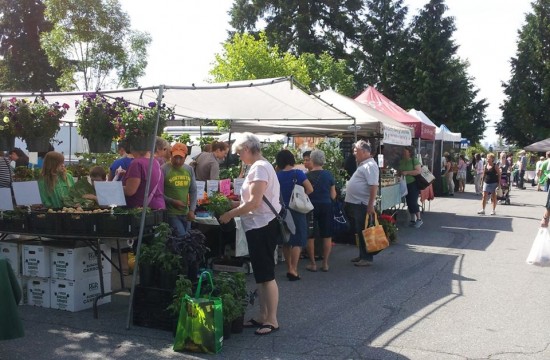 Coquitlam Farmers Market | Things To Do In Vancouver This Weekend