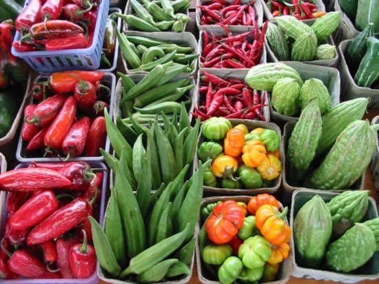 Kitsilano Farmers Market | Things To Do In Vancouver This Weekend