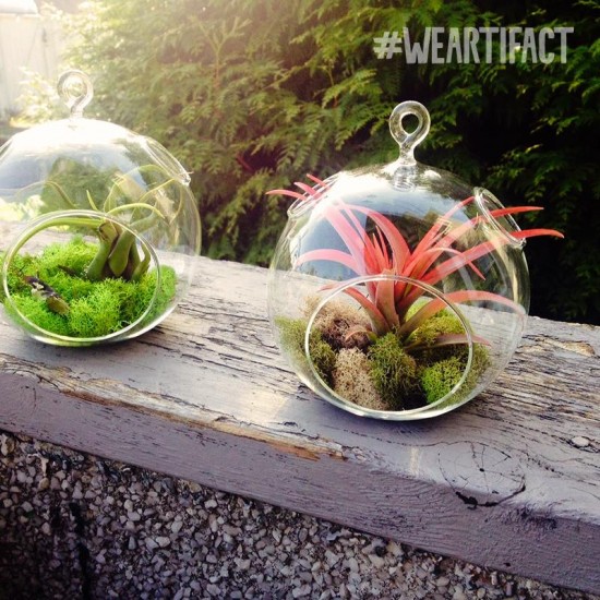 Artifact - West End| Things To Do In Vancouver This Weekend
