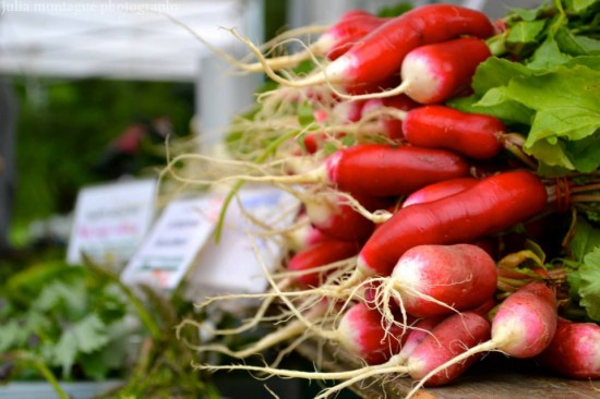 Trout Lake Farmers Market | Things To Do In Vancouver This Weekend