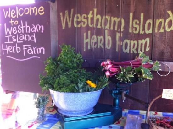 Day At The Farm - Westham Island Herb Farm | Things To Do In Vancouver This Weekend