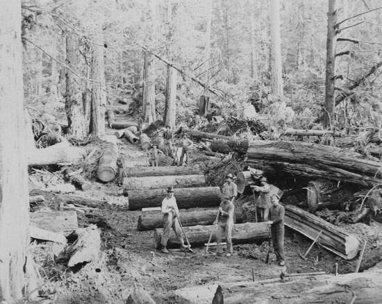 Logging Stanley Park - A Historical Walk | Things To Do In Vancouver This Weekend