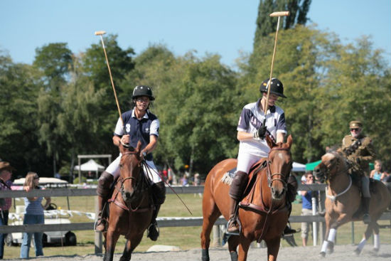 There will be a polo demo at the fair. Photo by Noriko Tidball.