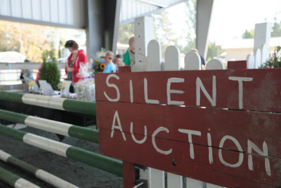 Adults can up the ante at the country fair's silent auction. Photo by Noriko Tidball.