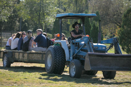 It's not often that city slickers get a chance to take a hay ride. Photo by Noriko Tidball.