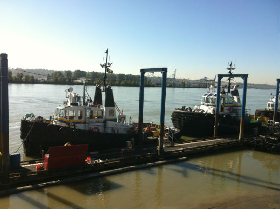 Tugboats docked in front of New Westminster's River Market. Carolyn Ali photo.