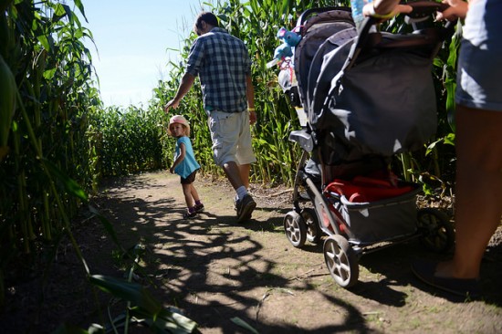 Corn Maze Vancouver 2014