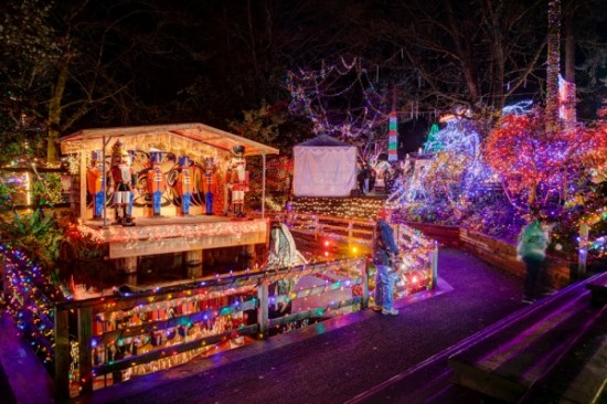 Bright Nights at Stanley Park | Things To Do In Vancouver This Weekend