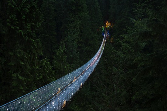 Canyon Lights at Capilano Suspension Bridge | Things To Do In Vancouver This Weekend