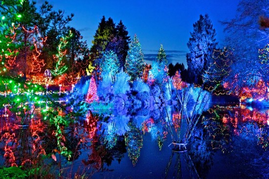 VanDusen Botanical Gardens - Festival of Lights | Things To Do In Vancouver This Weekend
