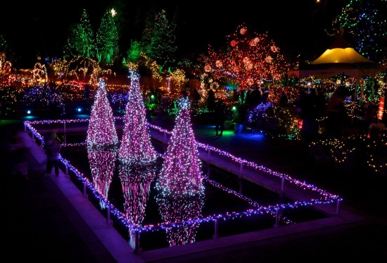 VanDusen Botanical Gardens - Festival of Lights | Things To Do In Vancouver This Weekend