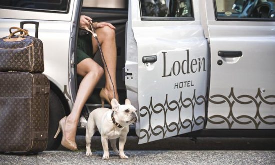 dog-friendly hotels in Vancouver
