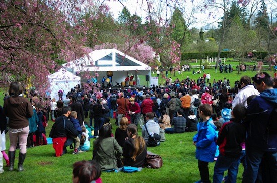Majomo Photography Vancouver cherry blossom festival