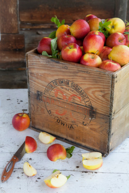 Photo from Left Field Cider Co. website