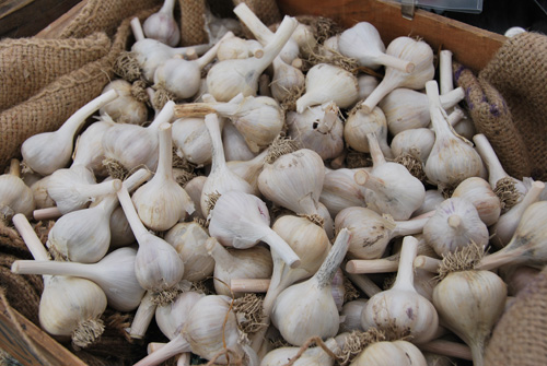 Garlic Festival |Photo: The Sharing Farm Society