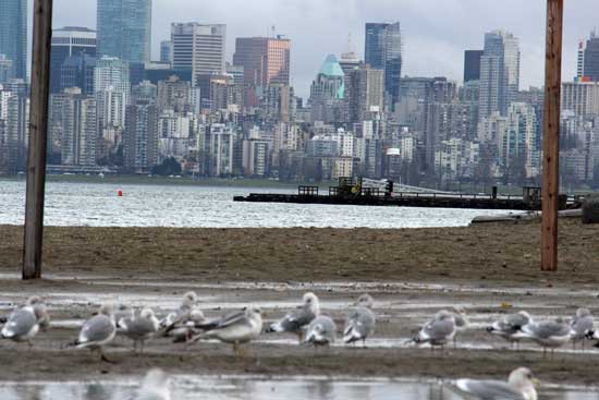 Discover-Outdoors-Spanish-Banks-Vancouver5