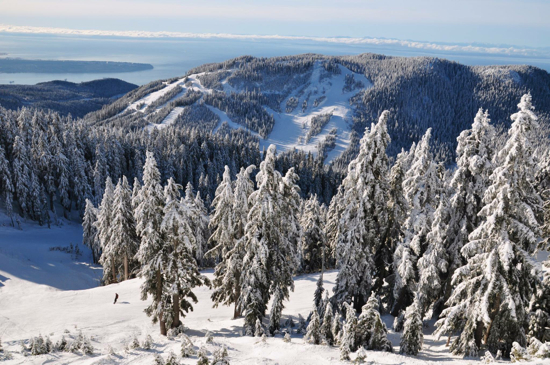 Source from Cypress Mountain website