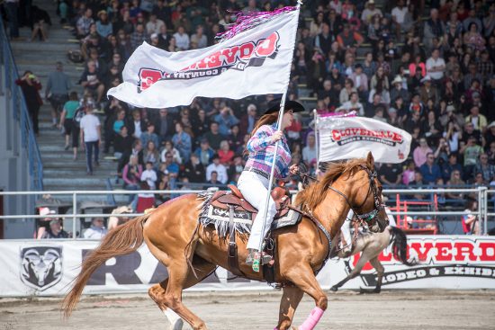 Rodeo Flags on Horses