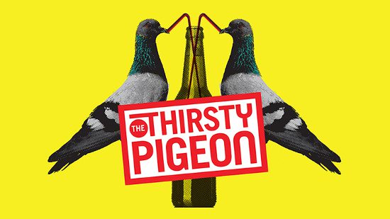 thirsty-pigeon
