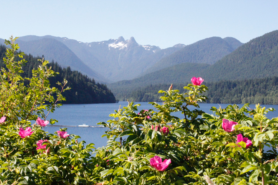 vancouver watershed tours