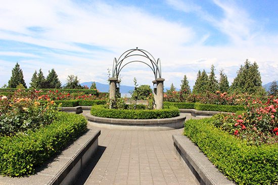 Discover Outdoors UBC Rose Garden3