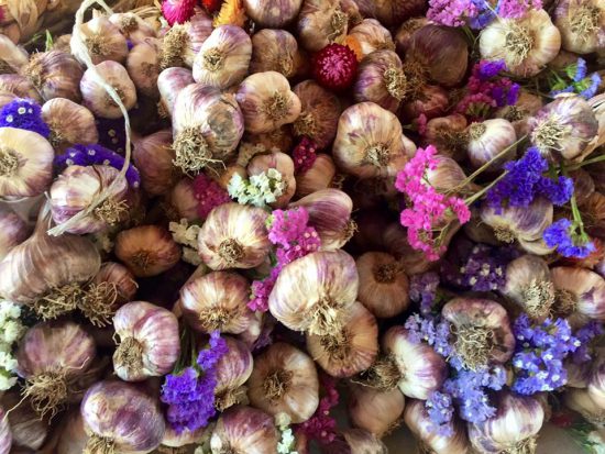 garlic festival vancouver 2016