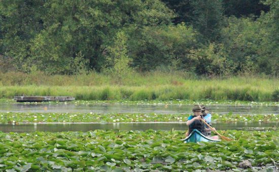 burnaby-lake-park-discover-the-outdoors10