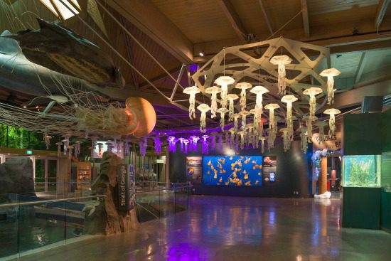 Origami Jellyfish Lights | Photo: Vancouver Aquarium